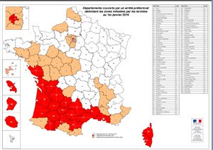 Carte infestation termites MARNE